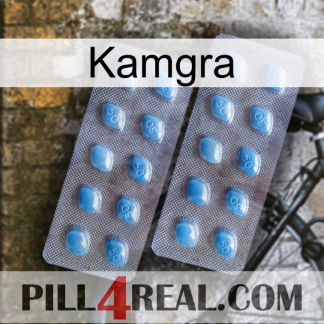 Kamgra viagra4